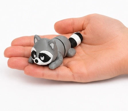 Raccoon pocket pal