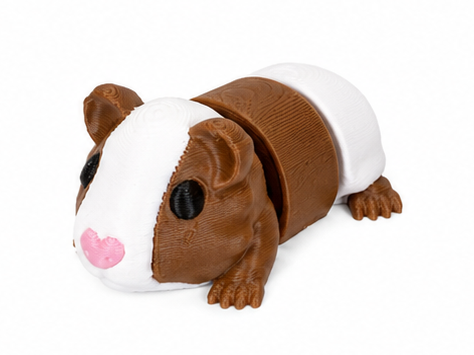 Guinea Pig Pocket Pal
